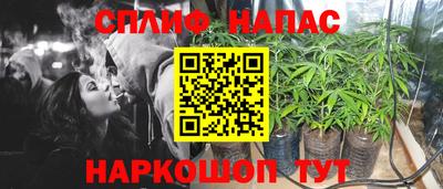 mdpv Ногинск